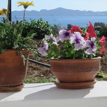 Feriehus Stone With Amazing View *