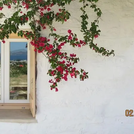 Vakantiehuis Stone With Amazing View Angairiá